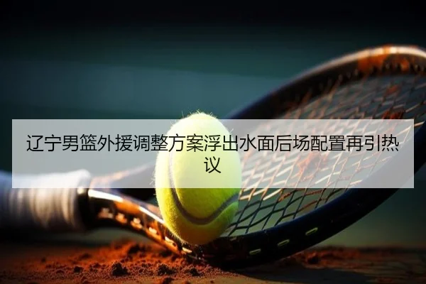 辽宁男篮外援调整方案浮出水面后场配置再引热议